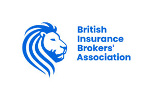 BIBA logo heroblue rgbJPEG 300x197 - BIBA